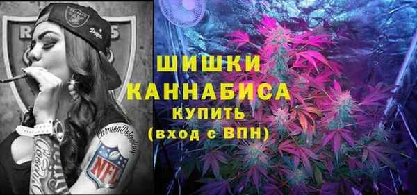 ГАЛЛЮЦИНОГЕННЫЕ ГРИБЫ Переславль-Залесский