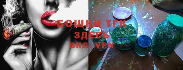 стаф Пересвет